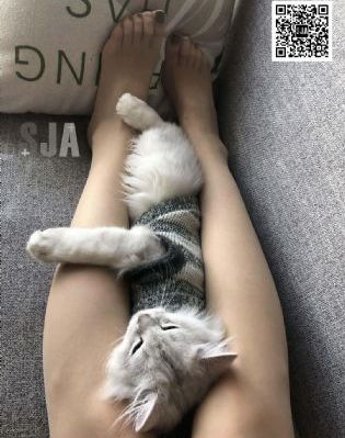 午夜视频黄_720免费播放